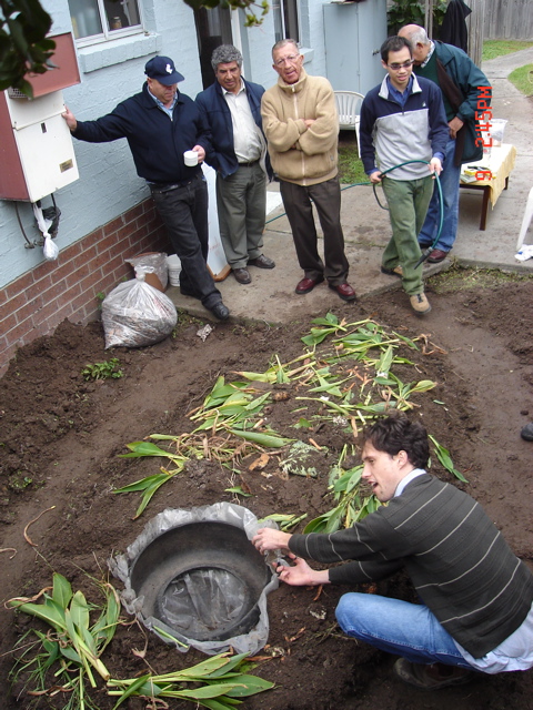 Some green plants go down