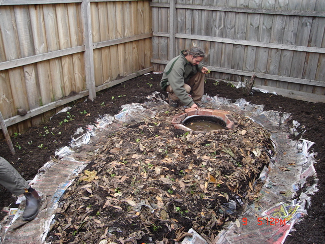 Adrian planting seedlings around the pond