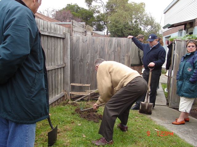 Avocado transplantation - five Or five keen South Americans with spades!