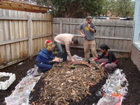 A leaf mulch then we started planting out!