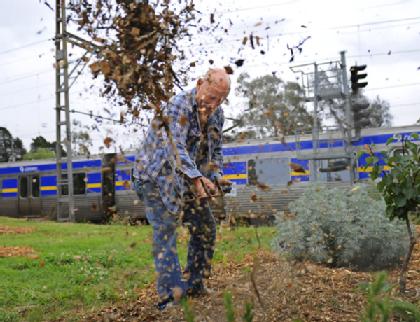 A garden on railway property in Northcote