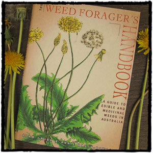 weedsbookcover4