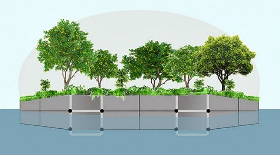 An artist's impression of the floating food forest