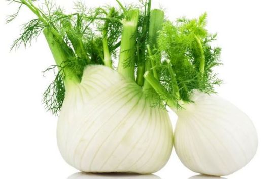 fennel