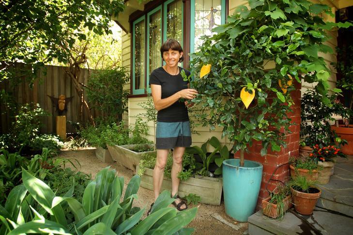 Garden designer Karen Sutherland's edible garden.