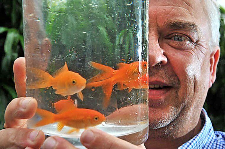 22-01-16 Peter Weaver is starting up an aquaponics system in his backyard to harvest fish to eat. The kits are started by goldfish. Photo by Damjan Janevski.