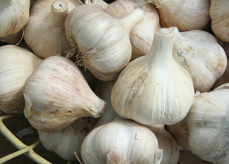 Garlic!!
