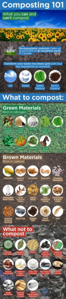 infographic-composting-101