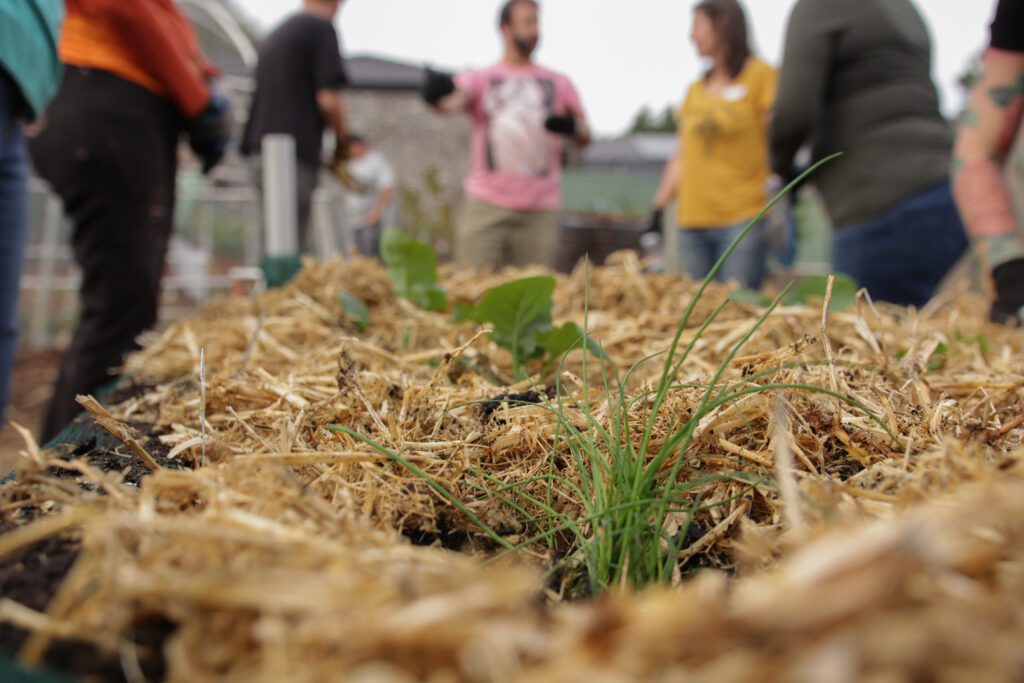 Can you believe we put in over ten raised veggie beds or wicking beds last month?