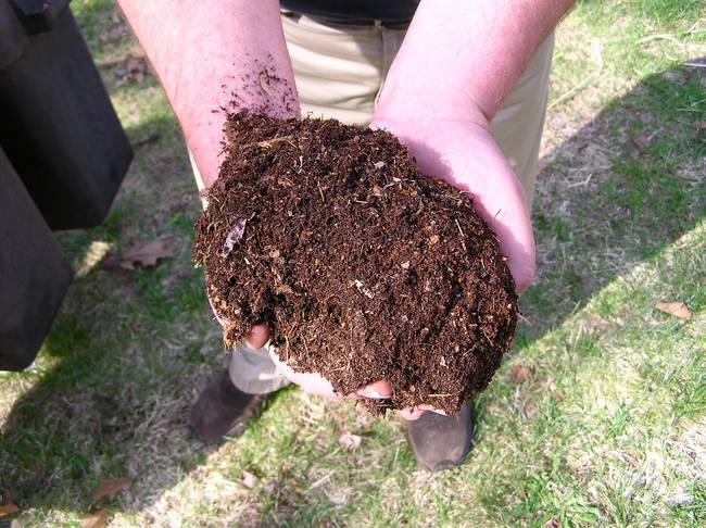 compost-in-hands.png.650x0_q70_crop-smart