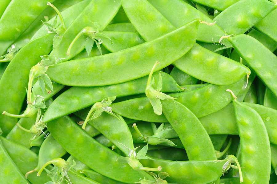 Snow peas - yum!!