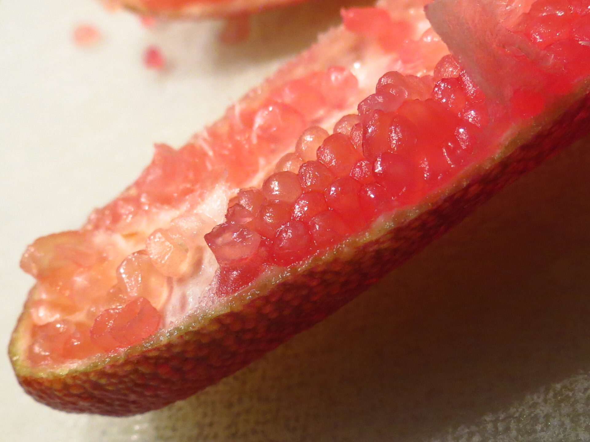 Finger Limes Permablitz Melbourne