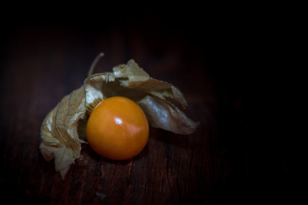 physalis-1378064_1920