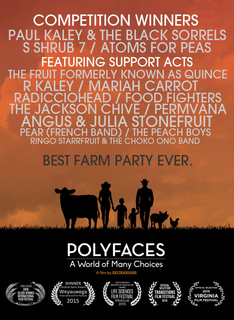polyfaces-fun-updated