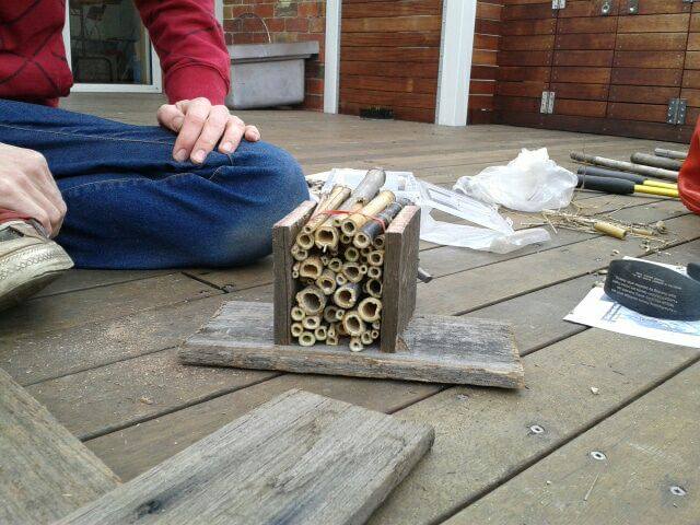A bee hotel under construction