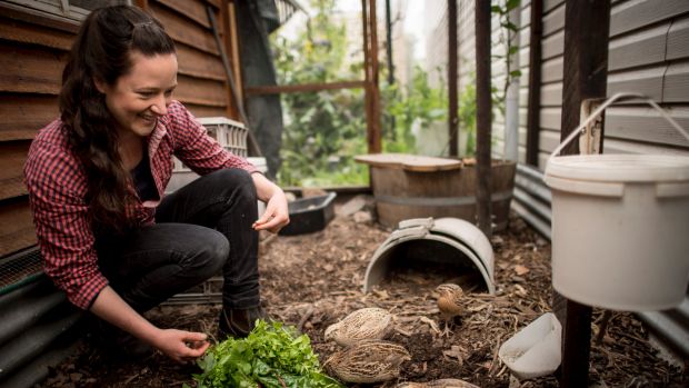 Kat Lavers in the aviary in her Northcote backyard where she keeps her quails. Photo: Eddie Jim