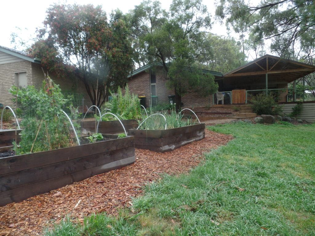 Check out those veggie beds!