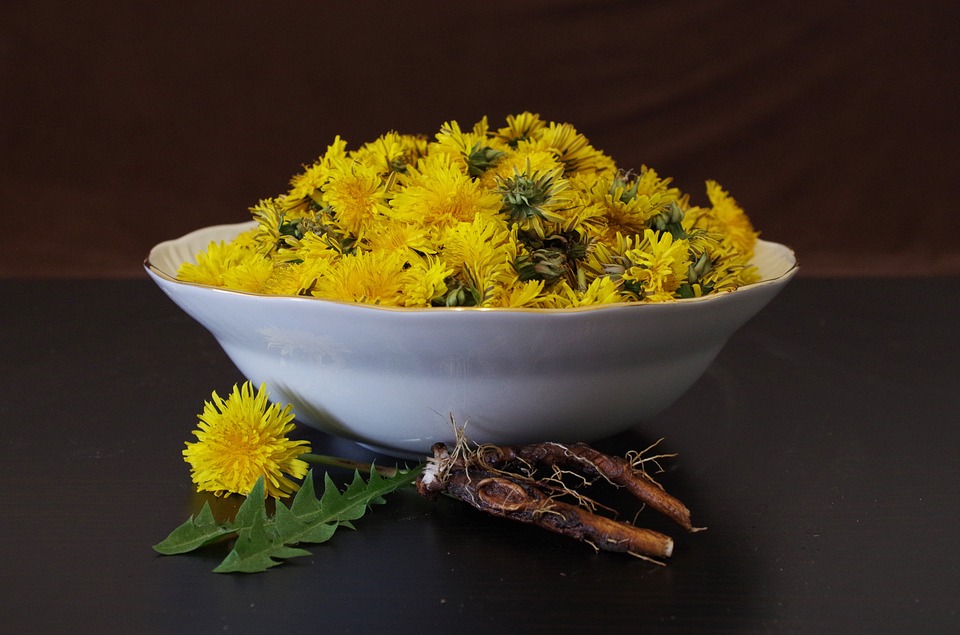 Flowers leaves and roots that can be prepared for tea