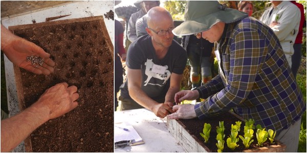 biointensive-growing-8951