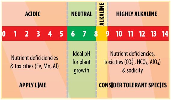 Soil PH Guide