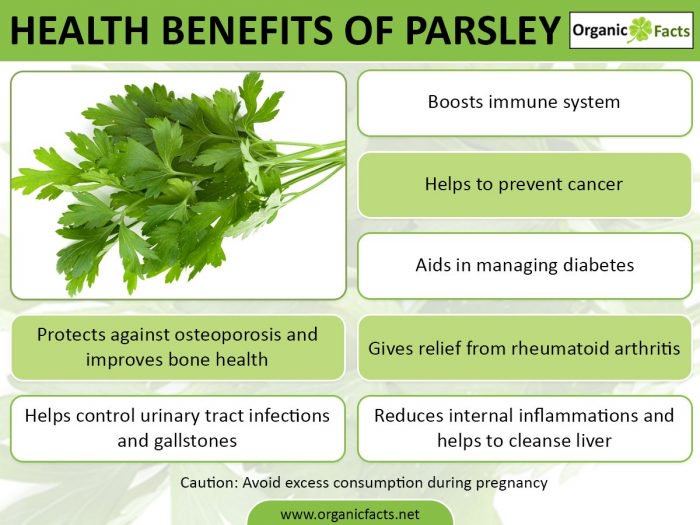 Parsley Info
