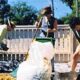 Organic action ... Permablitz gets to work on a suburban backyard.