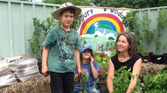 Community garden for Thurgoona