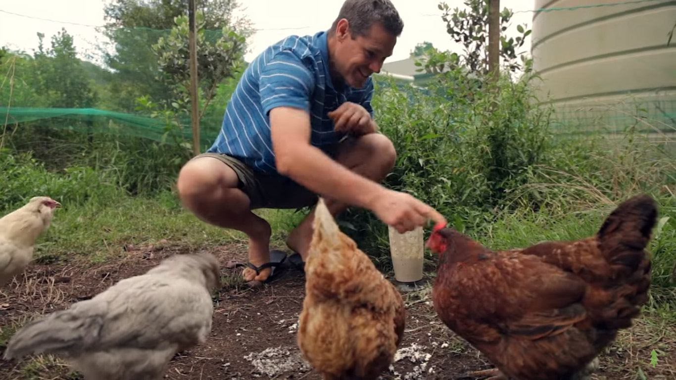 Top ten native Australian foods for your kitchen! - Permablitz Melbourne