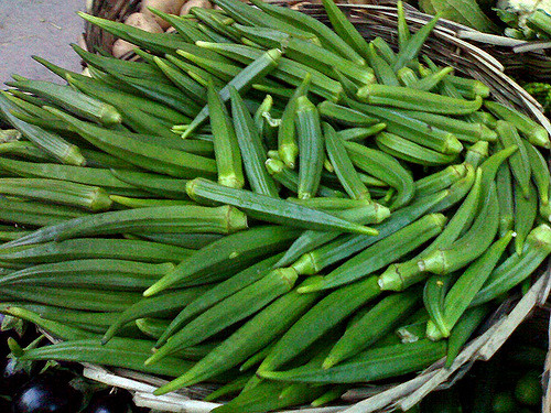 Okra - Permablitz Melbourne Okra - Permablitz Melbourne