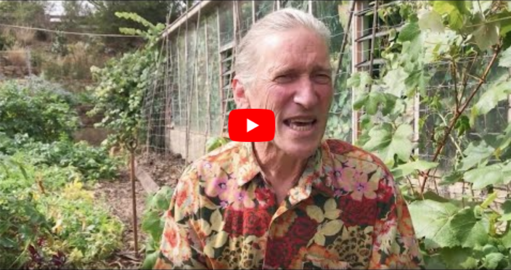 David Holmgren's Retrosuburbia